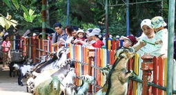 Du lịch nhộn nhịp trong kỳ nghỉ lễ