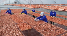 Nâng cao chuỗi giá trị sản phẩm OCOP