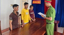 Bị đánh lún sọ vì bóp còi xua đàn trâu