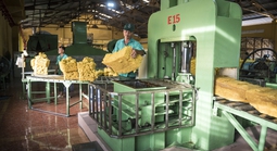 VRG quyết liệt triển khai Nghị quyết 79 về phát triển kinh tế nhà nước