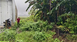 Yêu cầu xã giải quyết vụ lô đất trúng đấu giá 18 năm không có trên thực địa