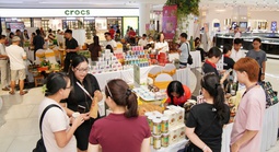 Xuất khẩu cà phê gấp đôi gạo, vì sao chính sách hỗ trợ lại chưa tương xứng?