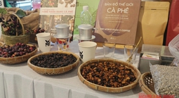 Giá cà phê hôm nay 5-4: Chuẩn bị cho kịch bản giá giảm