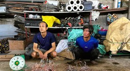 Lộ diện đối tượng cắt trộm dây điện trên đường cao tốc Bến Lức - Long Thành