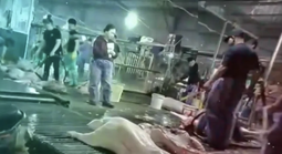 Công an Hà Nội thông tin vụ cán bộ kiểm dịch thú y "vòi tiền" tiếp tay đưa heo bệnh vào trường học