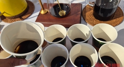 Giá cà phê hôm nay 6-4: Xu hướng sắp tới