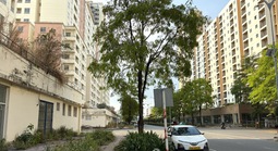 Rà soát quỹ nhà tái định cư sau chỉ đạo của Bí thư Thành ủy TPHCM