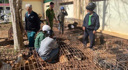 Bắt tạm giam 2 đối tượng trộm hàng chục con chó