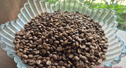 Giá cà phê hôm nay 8-4: Cả hai sàn đỏ lửa, Robusta xuống đáy 8 tháng