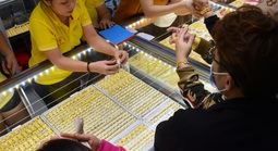 Sáng 8-4, giá vàng miếng SJC, vàng nhẫn tăng 4,5 triệu đồng/lượng