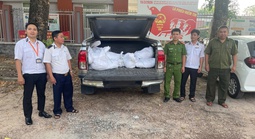 Bất ngờ khi mở các bao tải trên chiếc xe bán tải đang lưu thông trên địa bàn TPHCM 