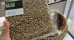 Giá cà phê hôm nay 2-5: Phục hồi nhẹ, Brazil được mùa cỡ nào?