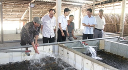 Hệ lụy từ việc đua nhau sản xuất theo phong trào