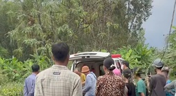 Người đàn ông đi cưa cây thuê bị sét đánh tử vong