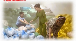 Tạm giữ 14 tấn bì heo không rõ nguồn gốc
