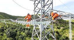 EVN tiết kiệm ngàn tỉ đồng từ chuyển đổi số