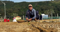 Lý Sơn "khát" nước ngọt