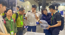 Tiếp nhận 28 cá thể rùa quý hiếm hồi hương từ Hàn Quốc