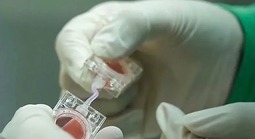Cuộc nghiên cứu chưa từng có trên không gian