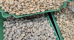 Giá cà phê hôm nay 14-5: Robusta tăng mạnh