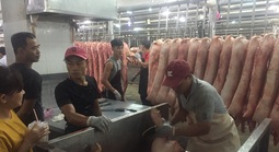 Giá heo hơi hôm nay, 19-5: Tăng ở chợ đầu mối