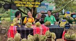 CHÍNH QUYỀN SỐ CHẠM VÀO LÒNG DÂN (*): Cán bộ hóa "chiến thần livestream"