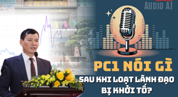 Chủ tịch PC1 Trịnh Văn Tuấn bị khởi tố: Vốn hóa "ông lớn" ngành điện bốc hơi gần 6.000 tỉ đồng