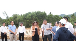 Lãnh đạo Đà Nẵng ra "tối hậu thư" với dự án gần 50 tỉ đồng kéo dài 9 năm