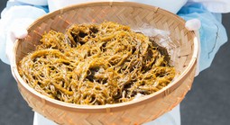 Fucoidan và xu hướng bảo vệ sức khỏe từ bên trong