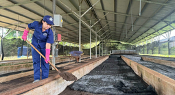 Học Bác tinh thần trách nhiệm, sáng tạo