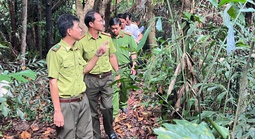 CLIP: Vụ chủ vườn chim "kêu cứu" ở Vĩnh Long: Lực lượng chức năng đến khảo sát