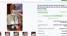 Túi Hermes bà Trương Mỹ Lan từng nói "giá trị không đáng bao nhiêu", đấu giá thu về hơn 14 tỉ đồng
