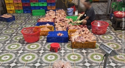 TPHCM phát hiện cơ sở giết mổ gia cầm hoạt động “chui” lúc gần 3 giờ sáng