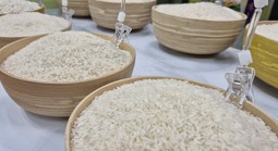 Ngành điều, gạo, rau quả trước quy định nhập khẩu mới của Trung Quốc
