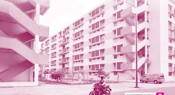 Báo in ngày 24-5: Đắng chát những cuộc tình xuyên biên giới