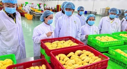 Nông sản Việt thích ứng quy định từ Trung Quốc