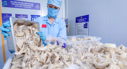 Cục Xuất nhập khẩu lưu ý thay đổi quan trọng với hàng thực phẩm vào Trung Quốc từ 1-6