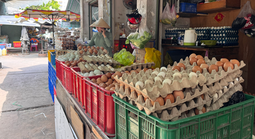 Lao đao vì giá trứng giảm sâu