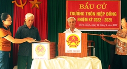 Ai đủ tiêu chuẩn làm Trưởng thôn, Tổ trưởng Tổ dân phố?