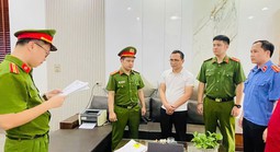 Một giám đốc công ty bị khởi tố
