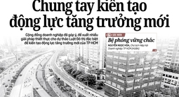 Báo in ngày 28-5: Chấp nhận trái ngành, miễn làm được việc