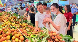 Một siêu thị "chốt đơn" vải thiều Bắc Ninh, muốn tăng gấp đôi sản lượng tiêu thụ