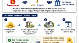 Ngân hàng Nhà nước lần đầu lên tiếng về việc huy động vàng để mua bất động sản