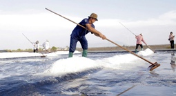 Giữ lửa nghề muối Long Điền