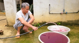 Tin mới vụ nước giếng khoan đổi màu tím bất thường ở Thanh Hóa