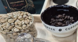 Giá cà phê hôm nay 4-5: Liệu Robusta có về lại mốc 4.000 USD/tấn?
