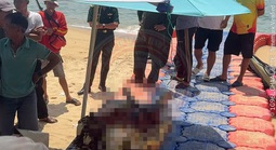 Đang câu cá, người đàn ông bất ngờ rơi xuống biển Gia Lai tử vong
