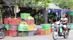 Lòng lề đường bị chiếm trọn ở hai tuyến đường quan trọng phía Tây TPHCM