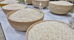 Bỏ giấy phép xuất khẩu gạo: Gỡ rào cản hay tạo cạnh tranh lệch chuẩn?