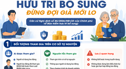 Hưu trí bổ sung: Đừng đợi già mới lo